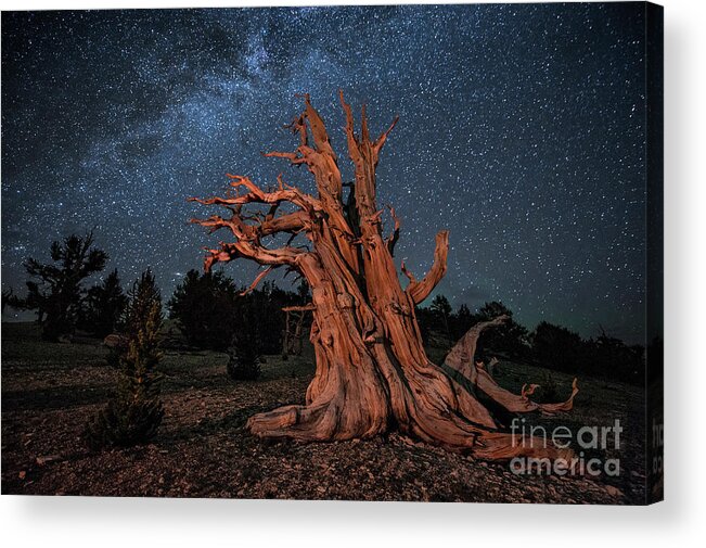 Stars Acrylic Print featuring the photograph Countless Starry Nights by Melany Sarafis