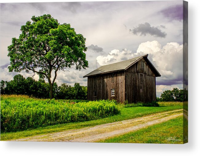 Barn Acrylic Print featuring the photograph Country Life by Skip Tribby