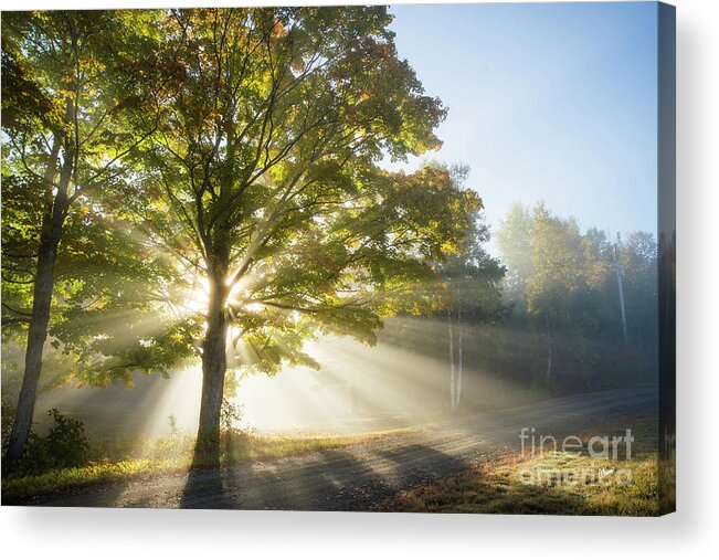 Morning Light Rays Acrylic Print featuring the photograph Country Road by Alana Ranney