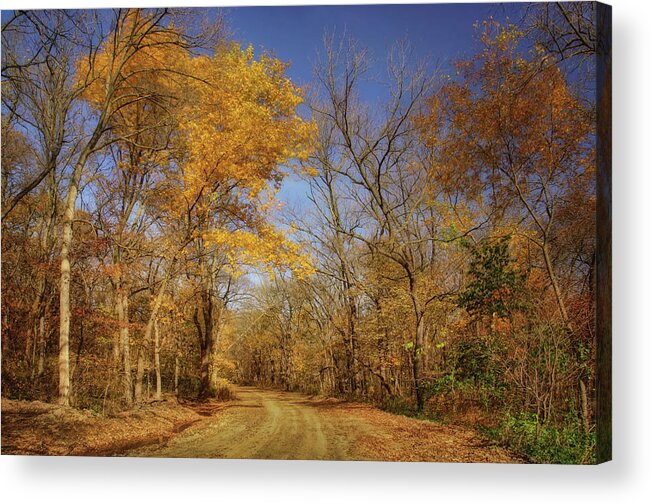 Country Road Acrylic Print featuring the photograph Country Road - Autumn - Iowa by Nikolyn McDonald