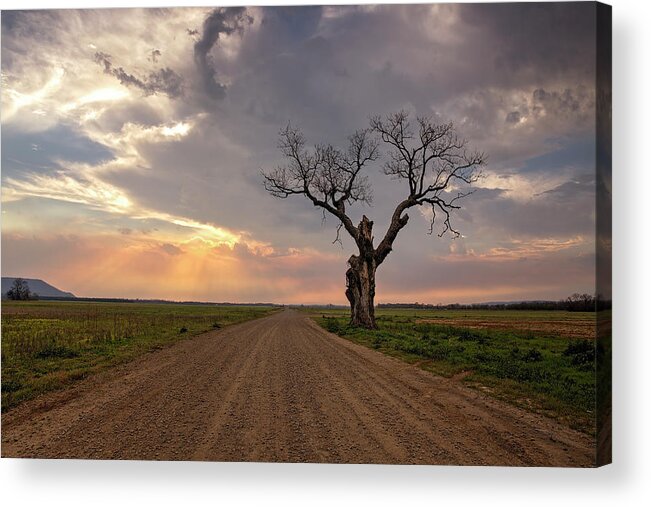 Old Acrylic Print featuring the photograph Country Road by Eilish Palmer
