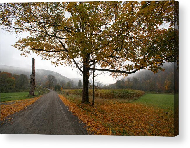 Country Fall Trees Field Road Drive Mountains Mountain Acrylic Print featuring the photograph Country Road by Robert Och