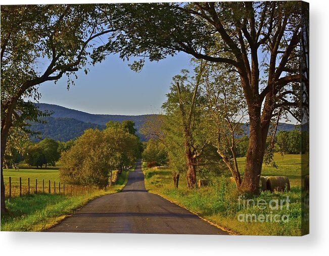 Country Road Acrylic Print featuring the photograph Country Roads by Tracy Rice Frame Of Mind