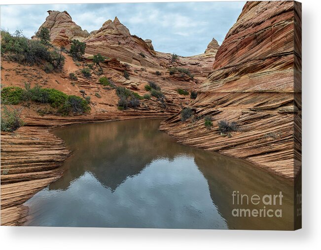 Southwest Acrylic Print featuring the photograph Coyote Buttes Morning by Sandra Bronstein