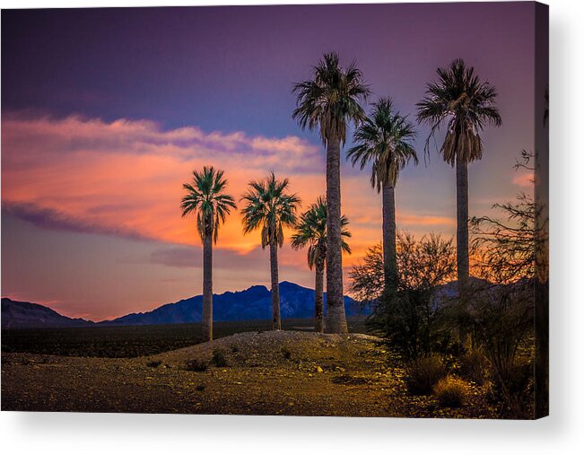 coyote Springs Acrylic Print featuring the photograph Coyote Springs Nevada by Janis Knight