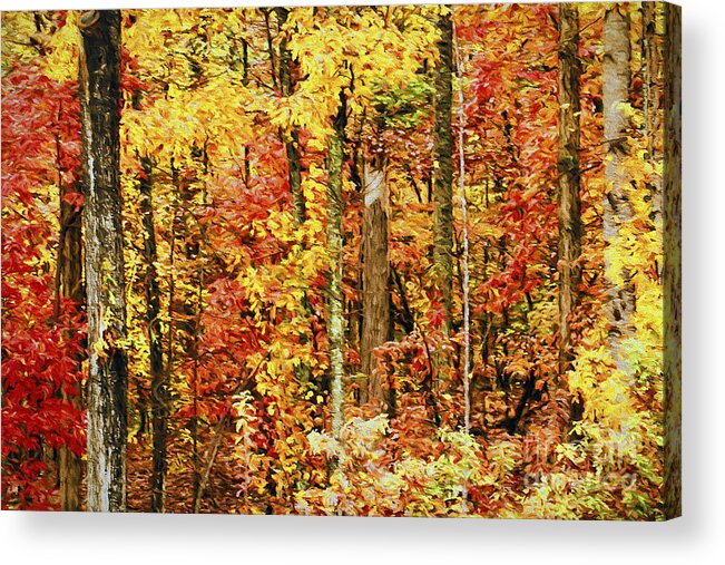 Digital Painting Acrylic Print featuring the photograph Crayola Autumn by Darren Fisher