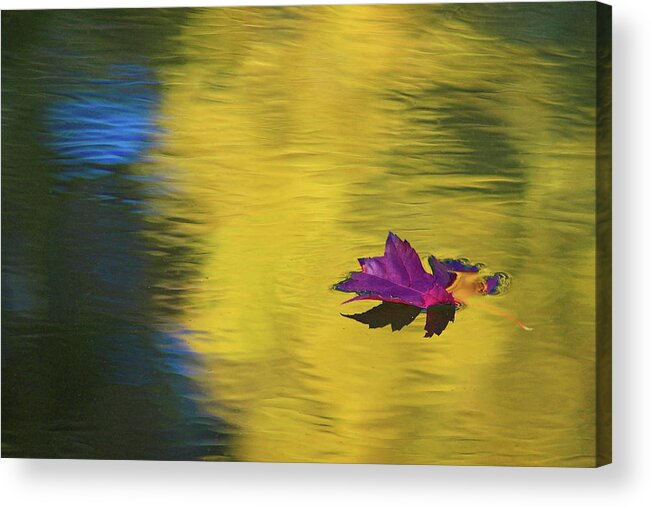 Fall Color Acrylic Print featuring the photograph Crimson and Gold by Steve Stuller