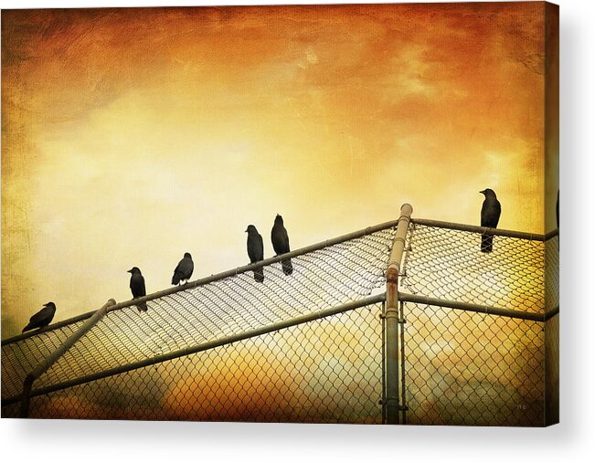 Theresa Tahara Acrylic Print featuring the photograph Crows On The Backstop by Theresa Tahara