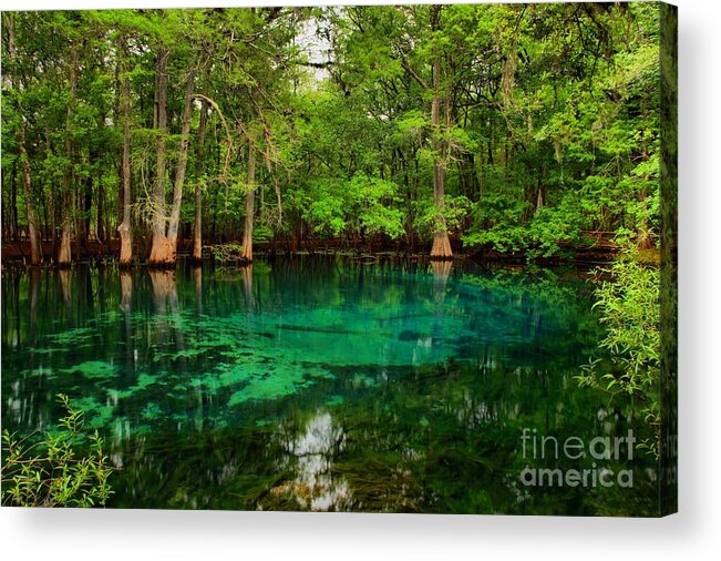 Manatee Spring Acrylic Print featuring the photograph Crystal Blue Manatee Spring Waters by Adam Jewell