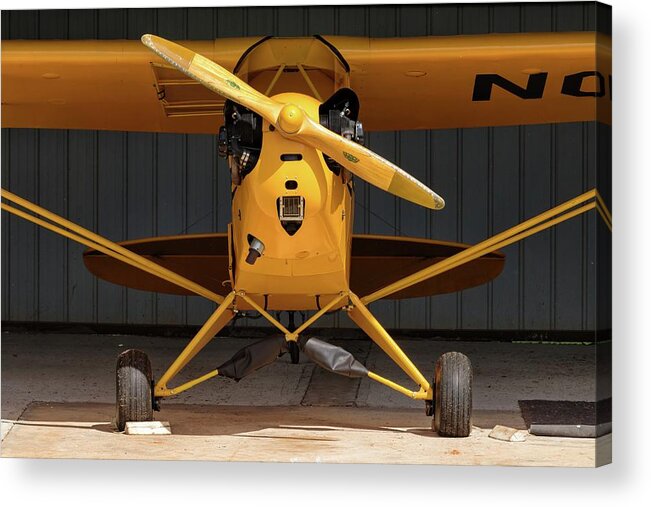 Classic Acrylic Print featuring the photograph Cub Den II - 2017 Christopher Buff, www.Aviationbuff.com by Chris Buff