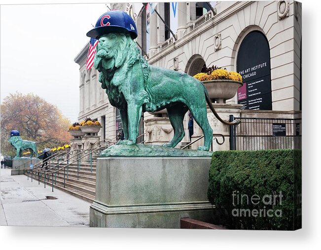Cubbies Lions Acrylic Print featuring the photograph Cubs Lions by Patty Colabuono