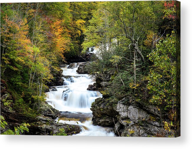 Forest Acrylic Print featuring the photograph Cullasaja Falls by David Morefield