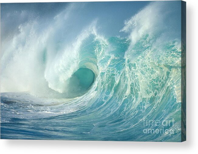 Aqua Acrylic Print featuring the photograph Curling Wave by Vince Cavataio - Printscapes