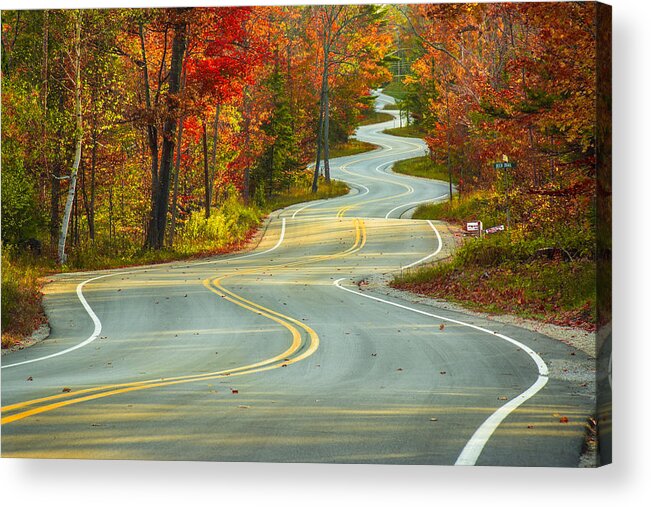 Fall Acrylic Print featuring the photograph Curvaceous by Bill Pevlor