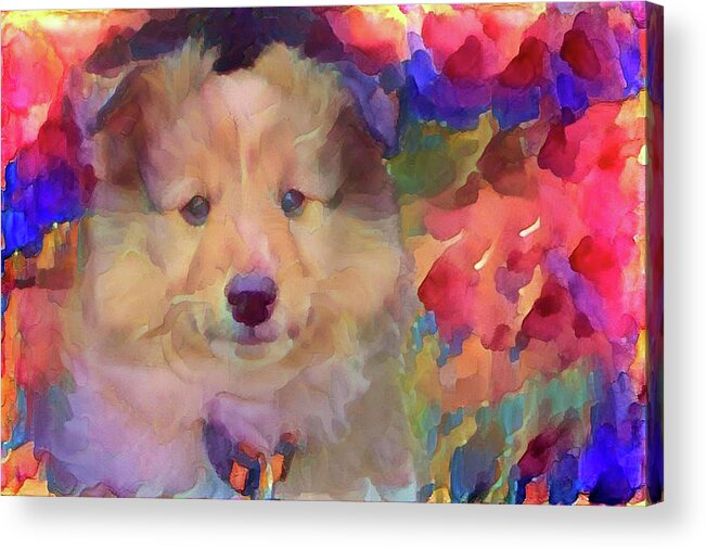 Cute Puppy Acrylic Print featuring the mixed media Cute puppy by Lilia S