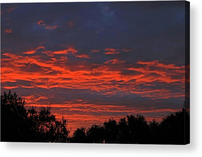 Sunrise Acrylic Print featuring the photograph D6B6345 Sunrise Colors Feb 15 2017 by Ed Cooper Photography