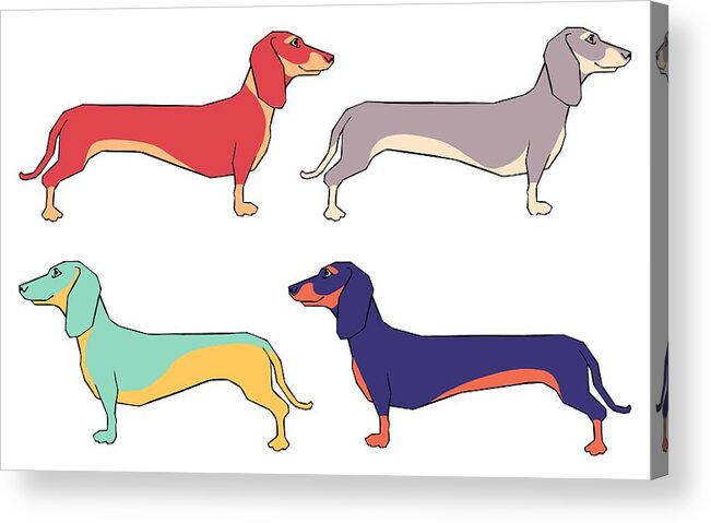 Dachshunds Acrylic Print featuring the digital art Dachshunds by Kelly King