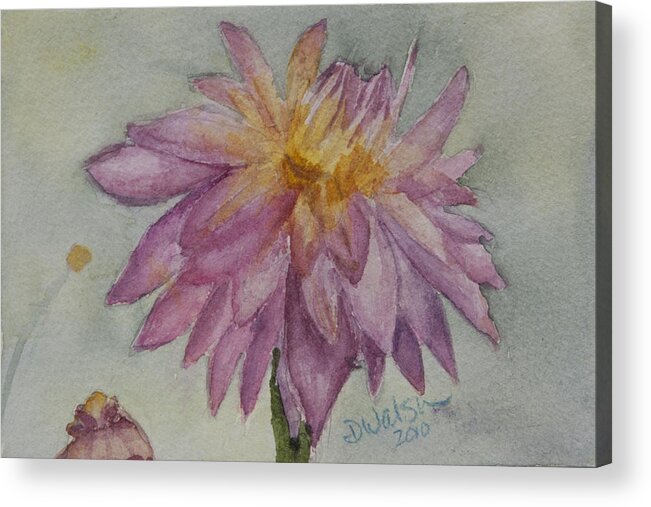 Dahlia Acrylic Print featuring the painting Dahlia at Eastport ME by Donna Walsh