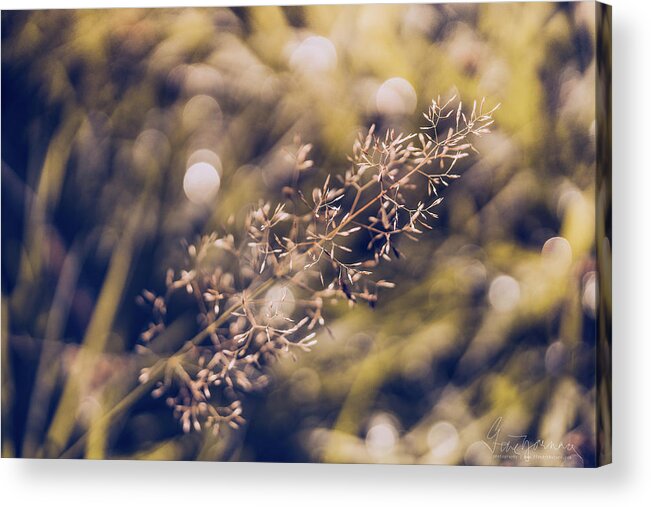 Bokeh Acrylic Print featuring the photograph Dance with Lights by Gene Garnace