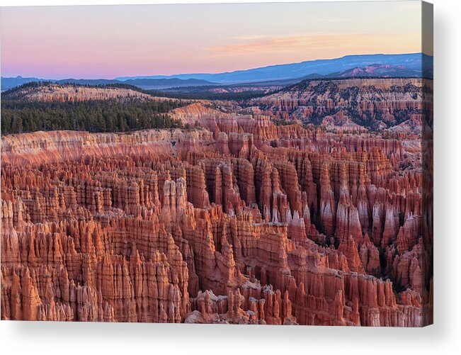 Bryce Canyon National Park Acrylic Print featuring the photograph Dawn At Bryce by Jonathan Nguyen