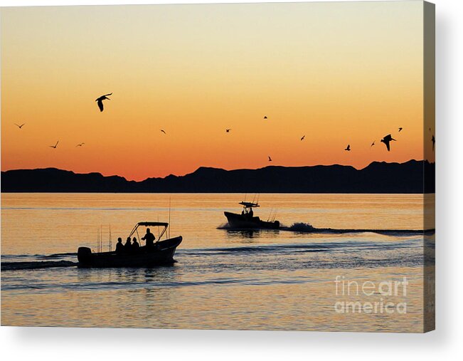 Sunrise Acrylic Print featuring the photograph Dawn by Becqi Sherman