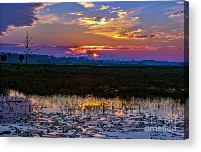 Sunrises Acrylic Print featuring the photograph Dawn Breaking Over Saint Marks by DB Hayes