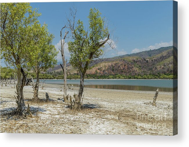 Landscape Acrylic Print featuring the photograph Dead Lake 1 by Werner Padarin