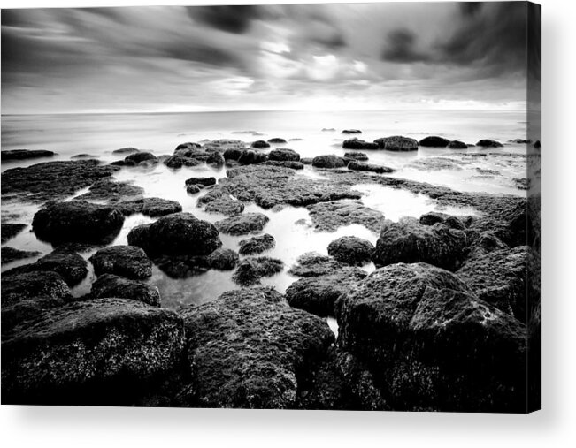 Sea Acrylic Print featuring the photograph Decisions by Ryan Weddle