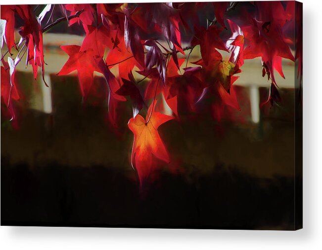 Red Acrylic Print featuring the mixed media Deep in Red by Terry Davis