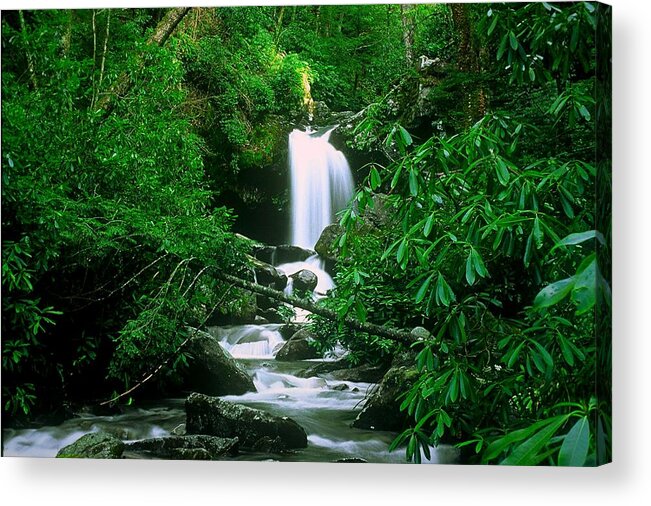 Waterfall Acrylic Print featuring the photograph Deep In The Smoky Mountains by Rodney Lee Williams
