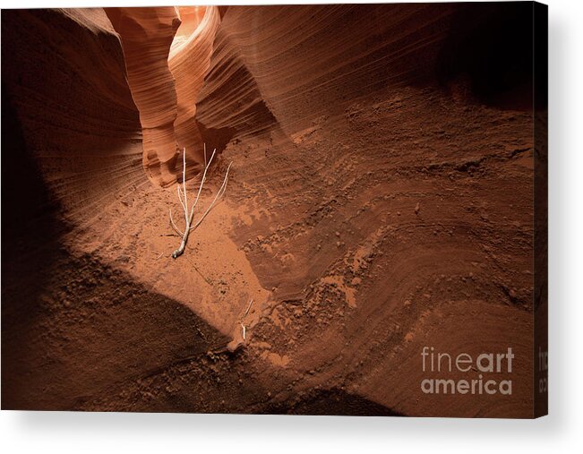  Lone Acrylic Print featuring the photograph Deep Inside Antelope Canyon by Jim DeLillo