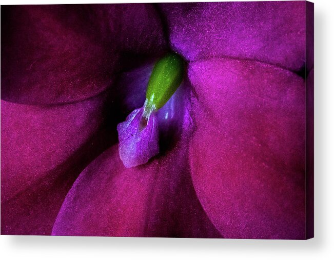 Jay Stockhaus Acrylic Print featuring the photograph Deep Inside by Jay Stockhaus