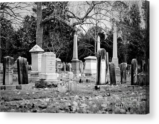 Cemetery Acrylic Print featuring the photograph Deep Within Evergreen Cemetery by Joe Geraci