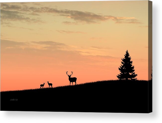 Animals Acrylic Print featuring the digital art Deer in silhouette by John Wills