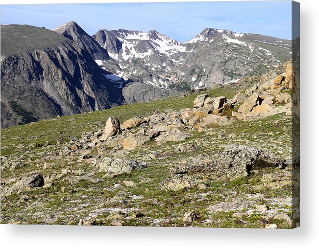 Tundra Acrylic Print featuring the photograph Delicate Tundra by Scott Kingery