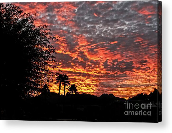 Sunrise Acrylic Print featuring the photograph Delightful Evening by Robert Bales