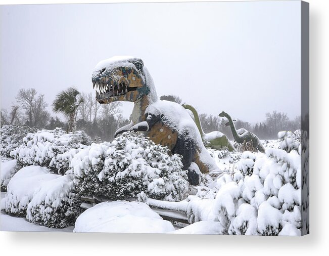 Photosbymch Acrylic Print featuring the photograph Demise of the dinosaurs by M C Hood