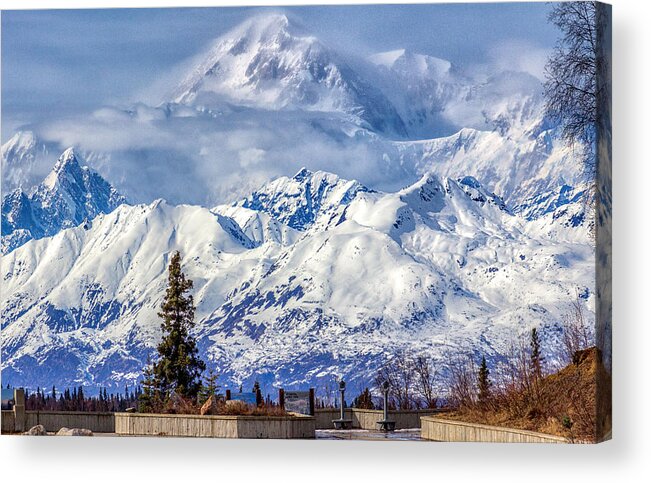  Acrylic Print featuring the photograph Denali by Michael W Rogers