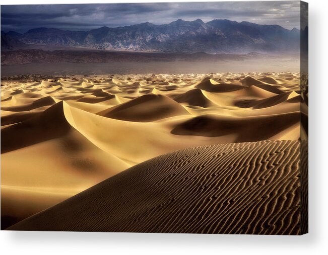 Desert Acrylic Print featuring the photograph Desert Curves by Nicki Frates