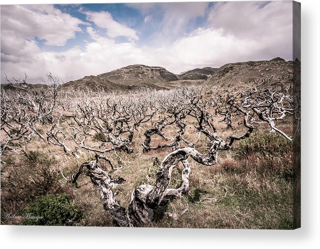 Fire Acrylic Print featuring the photograph Desolation by Andrew Matwijec