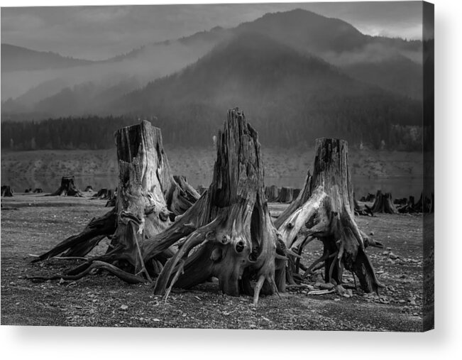 Conservation Acrylic Print featuring the photograph Detroit Lake, Oregon by Scott Slone