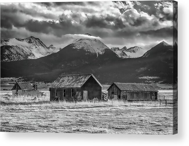 Colorado Acrylic Print featuring the photograph Dignity by Eric Glaser