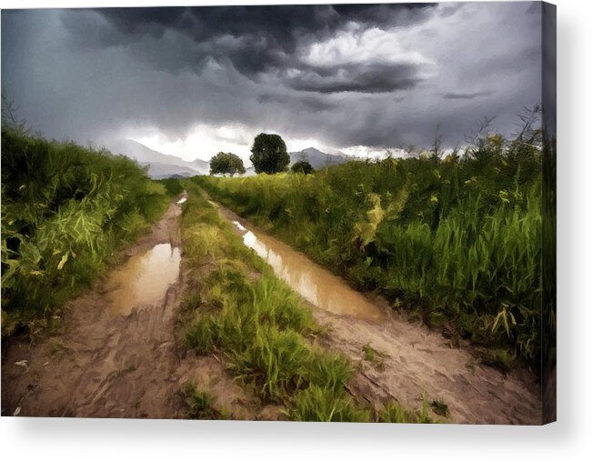 Mountain Acrylic Print featuring the photograph Distant Thunder Paint by David Dehner