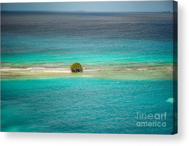 Divi Divi Tree Acrylic Print featuring the photograph Aruba by Buddy Morrison