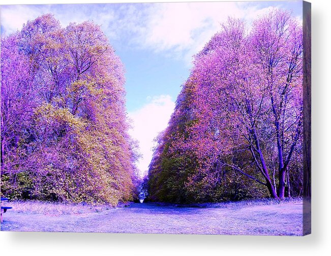 Park Acrylic Print featuring the photograph Divide by HweeYen Ong