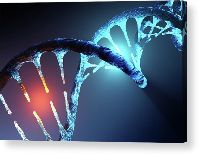 Dna Acrylic Print featuring the photograph DNA strand by Johan Swanepoel