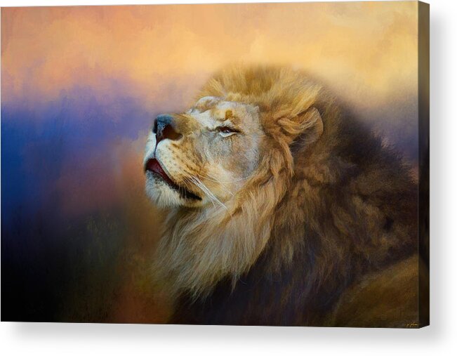 Jai Johnson Acrylic Print featuring the photograph Do Lions Go To Heaven? by Jai Johnson