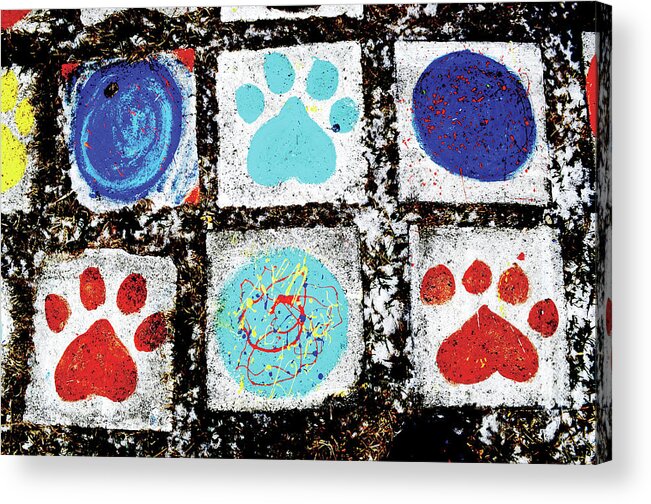 Dog Acrylic Print featuring the photograph Dog Paws by Char Szabo-Perricelli