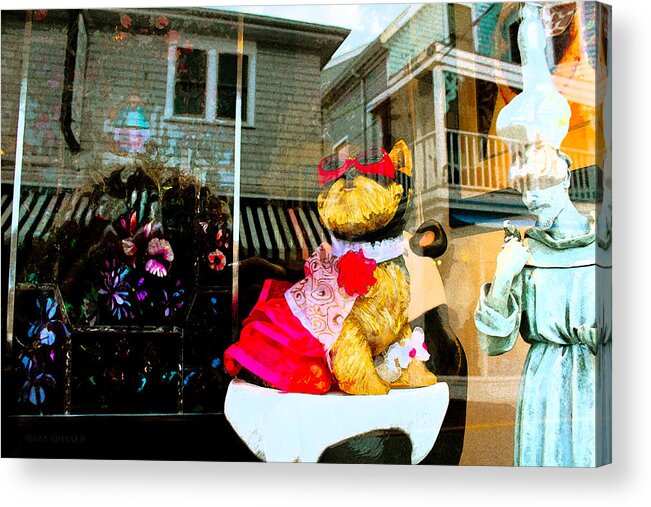 Provicetown Acrylic Print featuring the photograph Doggie in the Window by Susan Vineyard