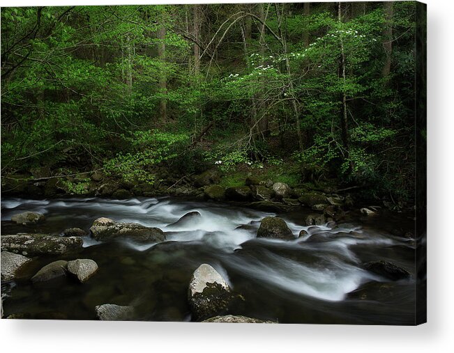 Stream Acrylic Print featuring the photograph Dogwood Along The River by Mike Eingle